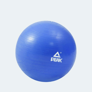 匹克儿童感统训练健身球孕妇专用助产分娩球减肥加厚瑜珈球 磨砂瑜伽球（天蓝） 55cm(身高150-160cm)