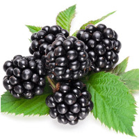 顺丰 怡颗莓新鲜黑莓鲜果125g*4盒  黑莓覆盆子水果黑树莓果桑葚果稀有热带水果
