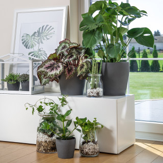 Ikea宜家persillade佩希拉德装饰用花盆深灰色绿植花盆 报价价格评测怎么样 什么值得买