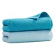 洁玉 DS1-022F 毛巾套装 2条装 34*72cm  浅蓝+深蓝