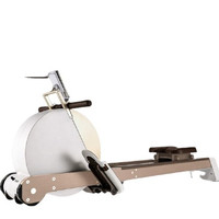 XIAO MO 小莫 家用磁控划船机 动感金