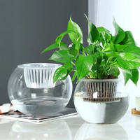 RLOPAY 水培植物玻璃瓶透明风信子花瓶绿萝富贵竹水养鱼缸器皿花瓶小清新