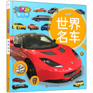 《大眼睛看世界》（套装共4册）