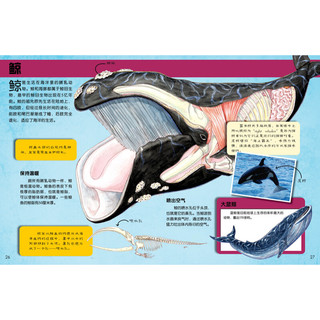 《里面有什么·有趣神奇的动物世界》