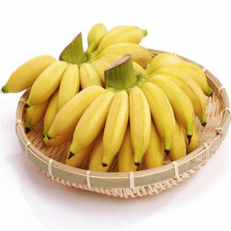 农家生态高山香蕉，非小米蕉，香甜软糯好吃