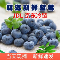 山东青岛国产蓝莓 新鲜水果 4盒*125g 2盒*125g