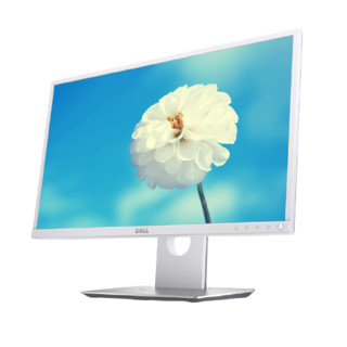 DELL 戴尔 P系列 P2317HWH 23英寸 IPS 显示器(1920×1080、82%sRGB)