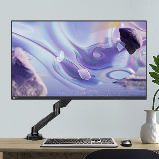 Lecoo 锋芒系列 B2411/H 23.8英寸 IPS 显示器（1920×1080、60Hz、72%NTSC）