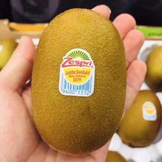 Zespri 佳沛 阳光金果 奇异果 单果80-90g 10个