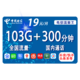 CHINA TELECOM 中国电信 全国流量卡19包103G全国+300分钟国内 低月租大流量不限速手机卡