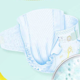 Pampers 帮宝适 一级帮系列 纸尿裤 NB84片*2包+S76片*2包