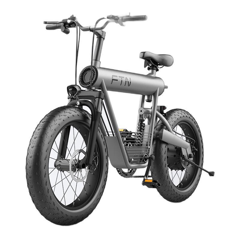 ftn t20 电动沙滩车 tdn02z 48v10ah锂电池 银灰 迷你版