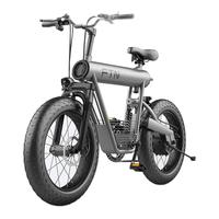 FTN T20 电动沙滩车 TDN02Z 48V20Ah锂电池 银灰 轻奢版