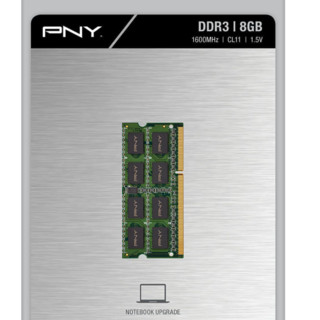 PNY 必恩威 PC34–12800 DDR3 1600MHz 笔记本内存 绿色 8GB