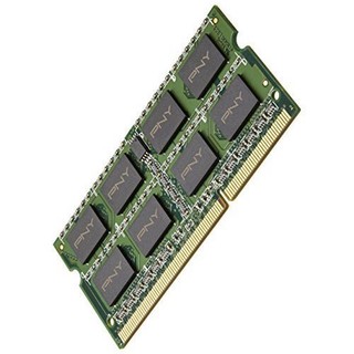 PNY 必恩威 PC34–12800 DDR3 1600MHz 笔记本内存 绿色 8GB