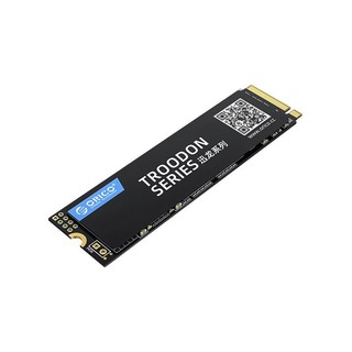 ORICO 奥睿科 迅龙V500 NVMe M.2 固态硬盘 512GB (PCI-E3.0)