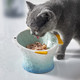 hocc猫碗陶瓷保护颈椎猫碗狗碗