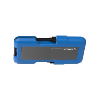 ORICO 奥睿科 SN100 USB 3.1 移动固态硬盘 Type-c 256GB 蓝色