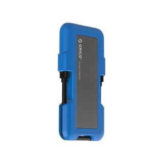 ORICO 奥睿科 SN100 USB 3.1 移动固态硬盘 Type-c 256GB 蓝色