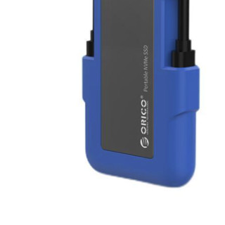 ORICO 奥睿科 SN100 USB 3.1 移动固态硬盘 Type-c 256GB 蓝色