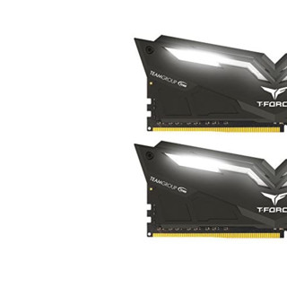 Team 十铨 夜鹰系列 DDR4 2666MHz RGB 台式机内存 黑色 16GB