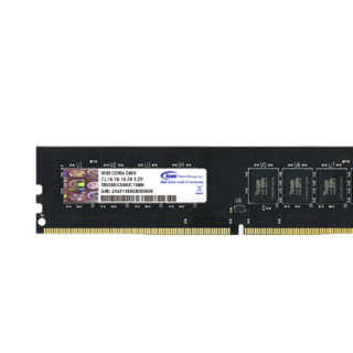 Team 十铨 8G DDR4 2400 2666 3000 3200 RGB灯条四代台式机超频内存条