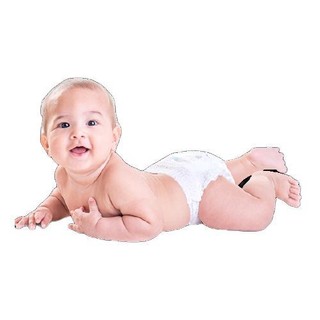 Pampers 帮宝适 一级帮系列 纸尿裤 S80+2片 日版