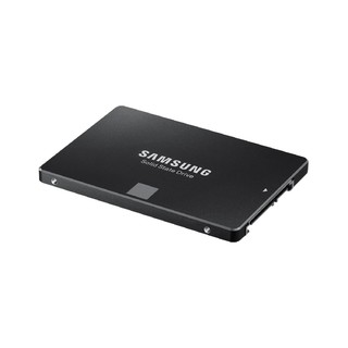 SASAMSUNG 三星 850 EVO SATA 固态硬盘 4TB（SATA3.0）