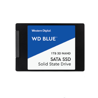 Western Digital 西部数据 S100T2B0A SATA M.2 固态硬盘 1TB (SATA3.0)