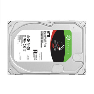 SEAGATE 希捷 酷狼IronWolf Pro系列 3.5英寸 NAS硬盘 6TB（CMR、7200rpm、256MB）ST6000NE000