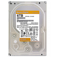 Western Digital西部数据 金盘系列 3.5英寸 企业级硬盘 6TB(7200rpm、256MB)WD6003VRYZ