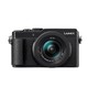 Panasonic 松下 DC-LX100M2GK 大底4K便携数码相机