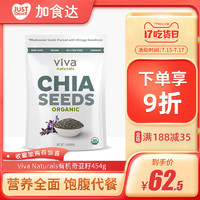 Viva Naturals 加食达进口Viva有机奇亚籽谷物即食冲饮代餐粗粮饱腹无糖454g