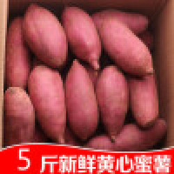 VAKADA 新鲜沙地红薯  5斤
