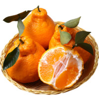 静益乐源 无籽蜜桔 丑橘 2.5kg