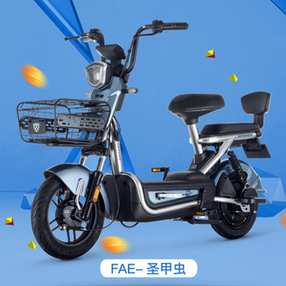 绿源电动车48V24Ah锂电池电动自行车超长续航 电量精准显示  FAE 曜夜黑