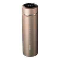 VANOW 范洛 VO-ZN-03 保温杯 500ml 香槟金