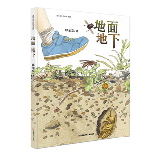 《邱承宗绘本系列·地面地下》（精装）