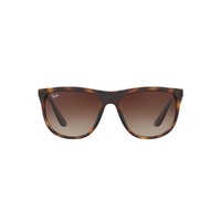 Ray-Ban 雷朋 男女款非偏光太阳镜 0RB4251I