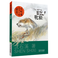 《沈石溪画本·牝狼》