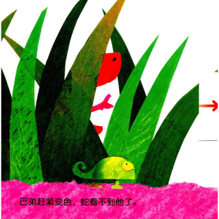 《变色龙捉迷藏》(精装)