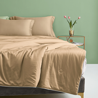 DAPU 大朴 大豆蛋白抗菌纤维被 流沙金 150*210cm