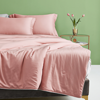 DAPU 大朴 大豆蛋白抗菌纤维被 蜜糖粉 150*210cm