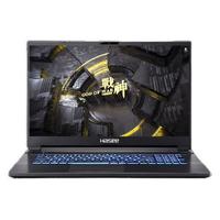 Hasee 神舟 战神 G8-CA7NS 17.3英寸 游戏本 黑色(酷睿i7-10750H、RTX 3060 6G、16GB、512GB SSD、1080P、IPS、144Hz)