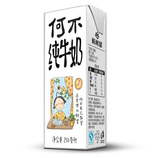 新希望 何不纯牛奶 250ml*21盒