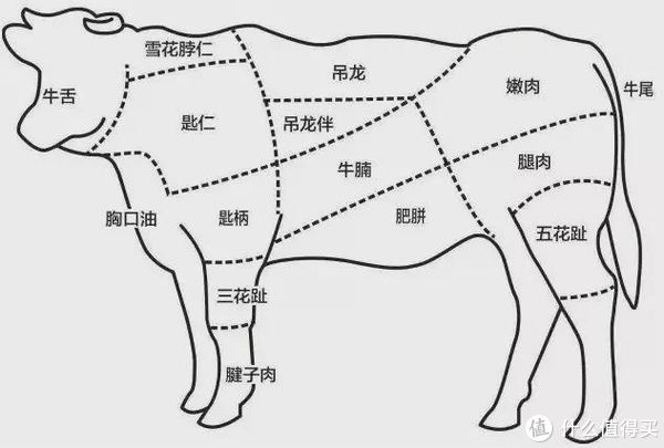 我猜你想要：牛肉该如何选择、花明白钱才能吃得安心~