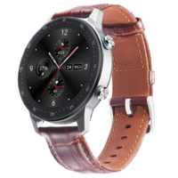 ZTE 中兴 WATCH GT 智能手表 1.39英寸 铂钻银 硅胶表带 棕色（GPS、血氧、心率、运动、防水）