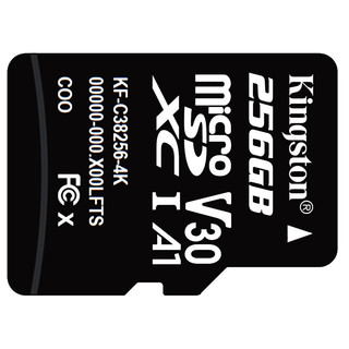 Kingston 金士顿 SDCS Plus Micro-SD存储卡 256GB（UHS-I、V30、U1、A1）