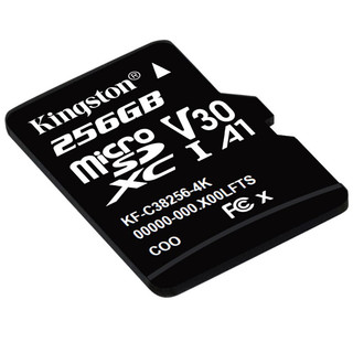 Kingston 金士顿 SDCS Plus Micro-SD存储卡 256GB（UHS-I、V30、U1、A1）