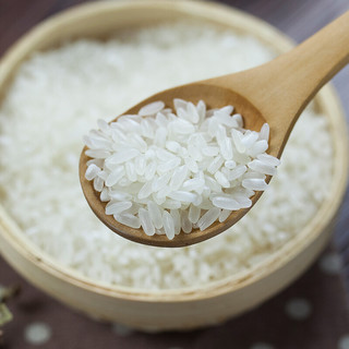 BBCA FOOD 丰原食品 珍珠米 1.25kg